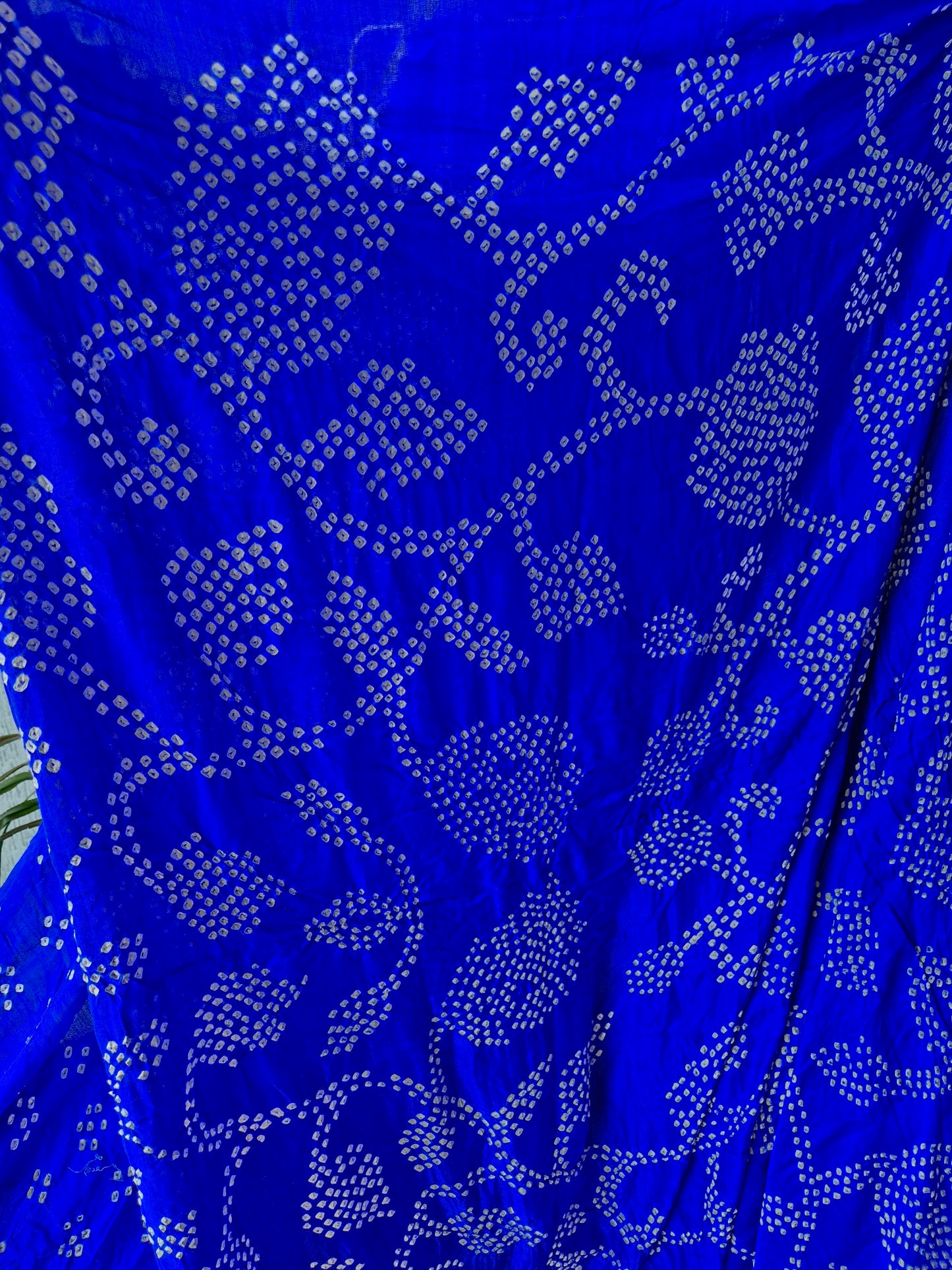 Electric Blue Gaji Silk Rai Bandhej Saree